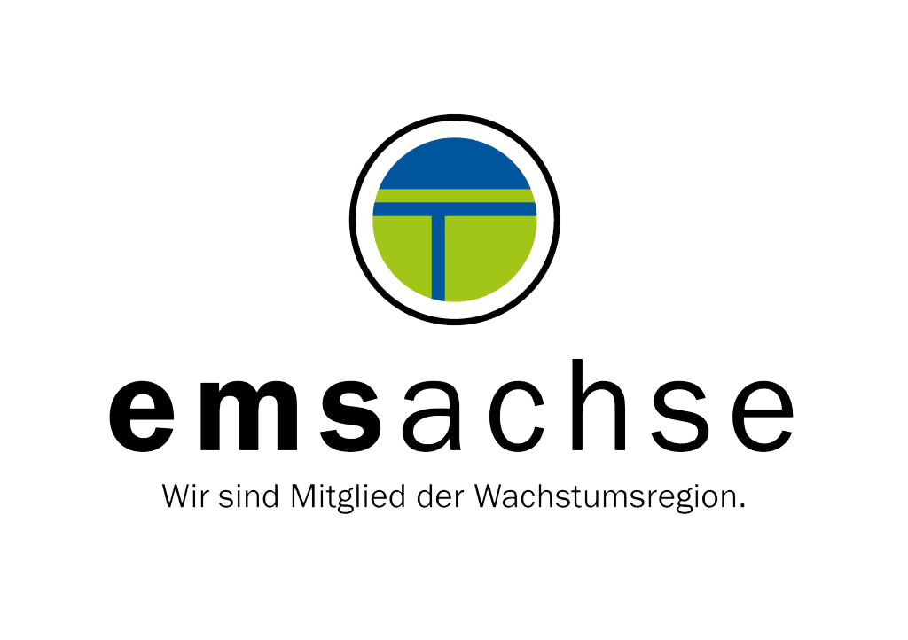 Logo Emsachse | Emsland Audit GmbH